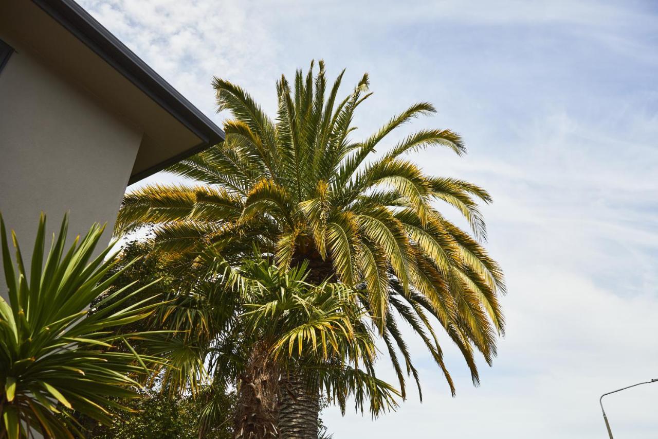 Blenheim Palms Motel Luaran gambar